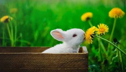 场上对决如火如荼，精彩不断——热血竞技，燃动全场