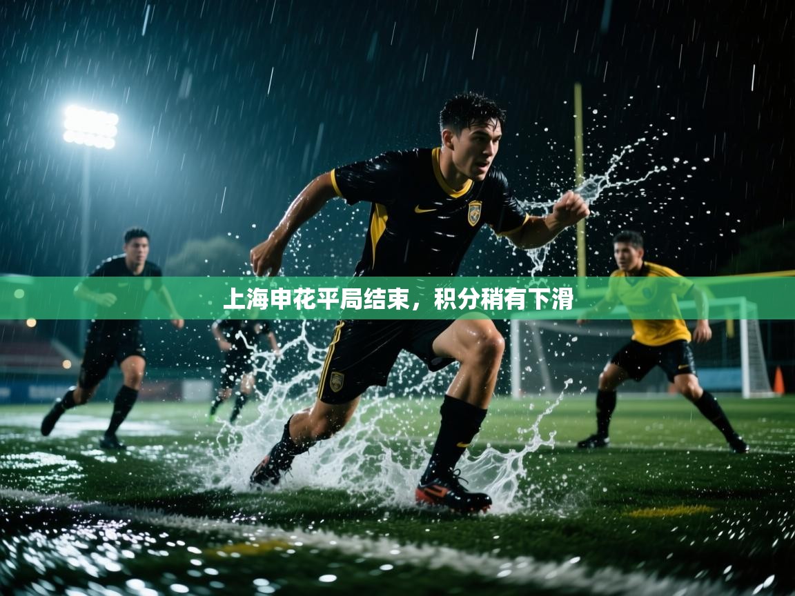 上海申花平局结束，积分稍有下滑