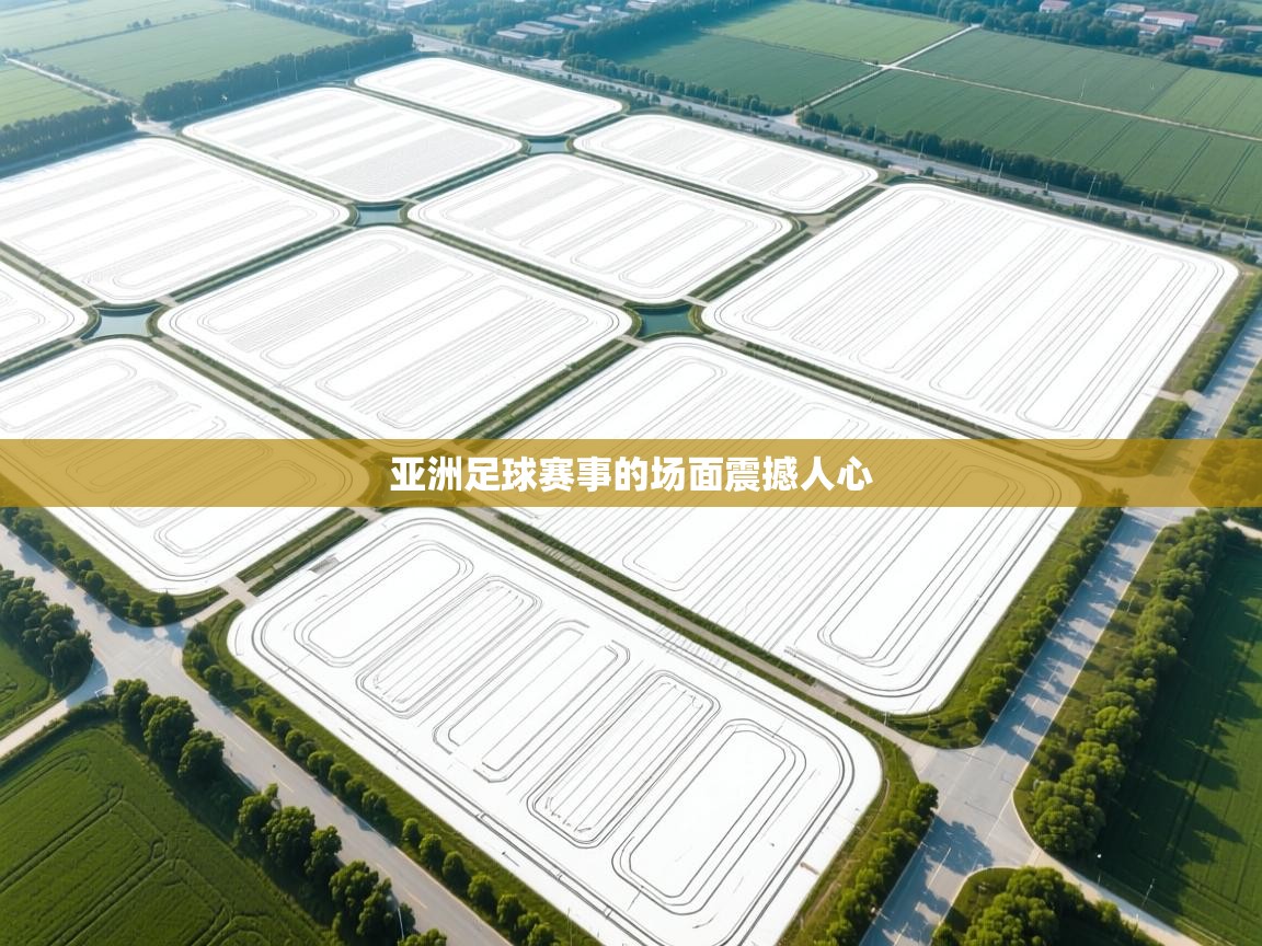 亚洲足球赛事的场面震撼人心