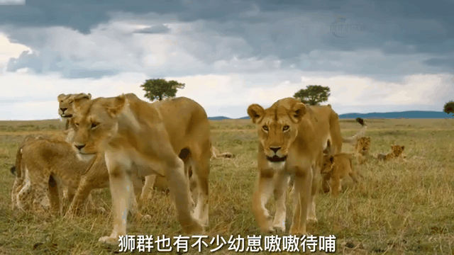 澳亚国际网站-关于上海SIPG客场对阵石家庄永昌，展开激烈对决的信息